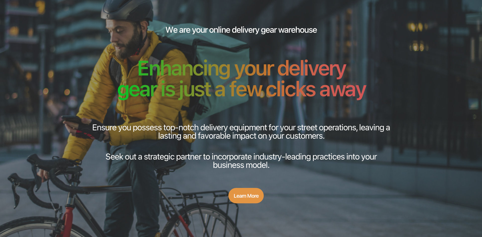 food delivery bag22